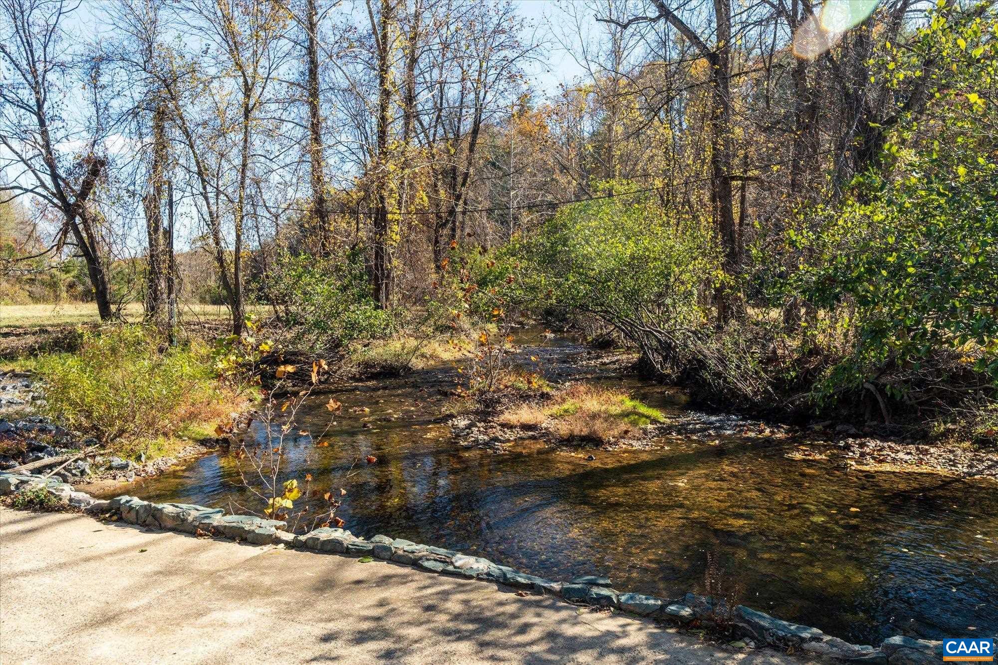 6424 Free Union Road Free Union, VA 22940 - Photo 11 of 57 a view of a forest filled with trees