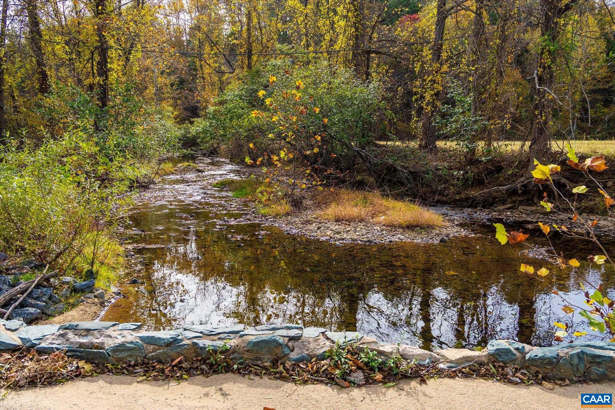 6424 Free Union Road Free Union, VA 22940 - Photo 12 of 57 a view of a yard with large trees