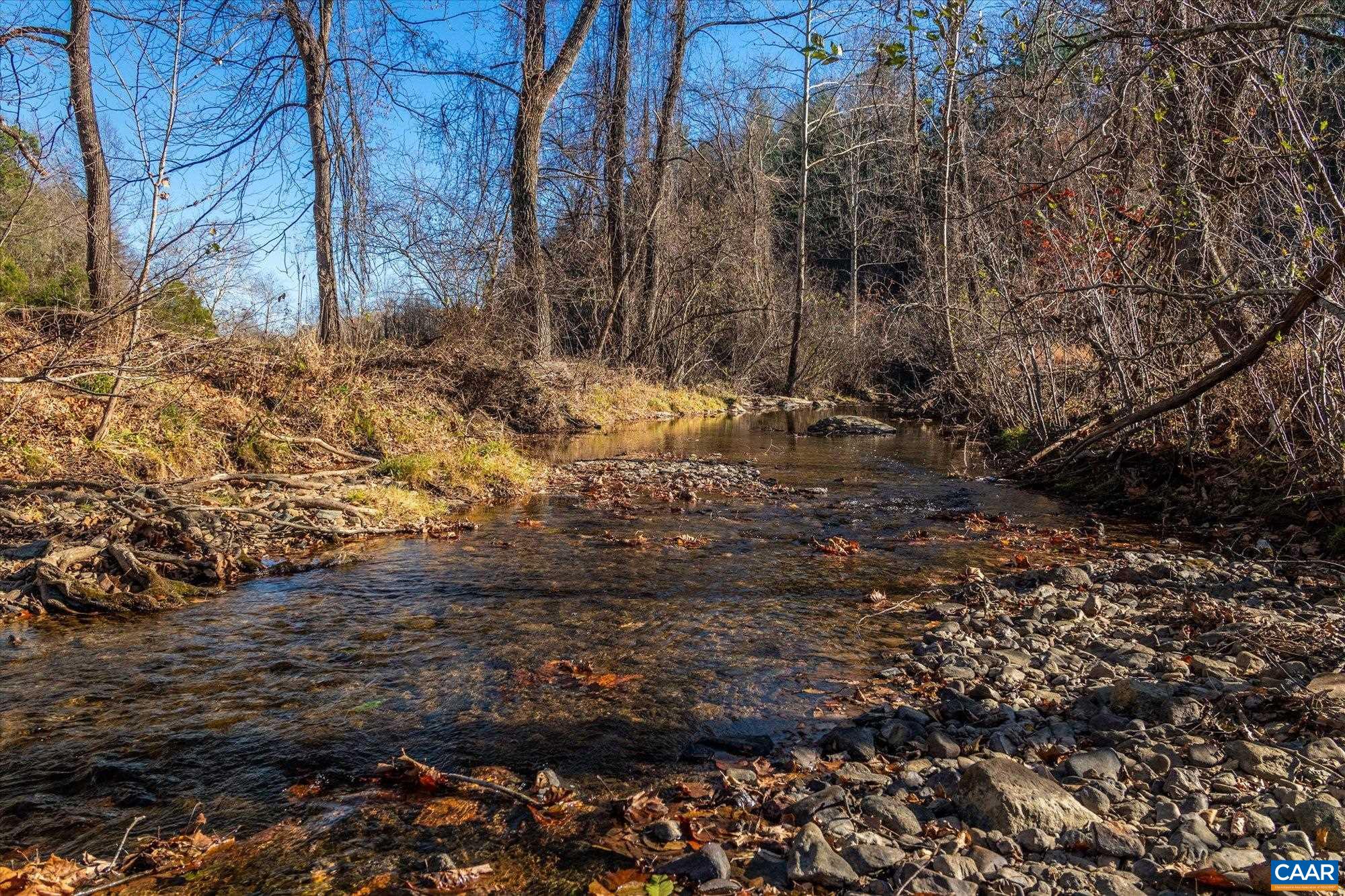 6424 Free Union Road Free Union, VA 22940 - Photo 18 of 57 a view of side of a yard