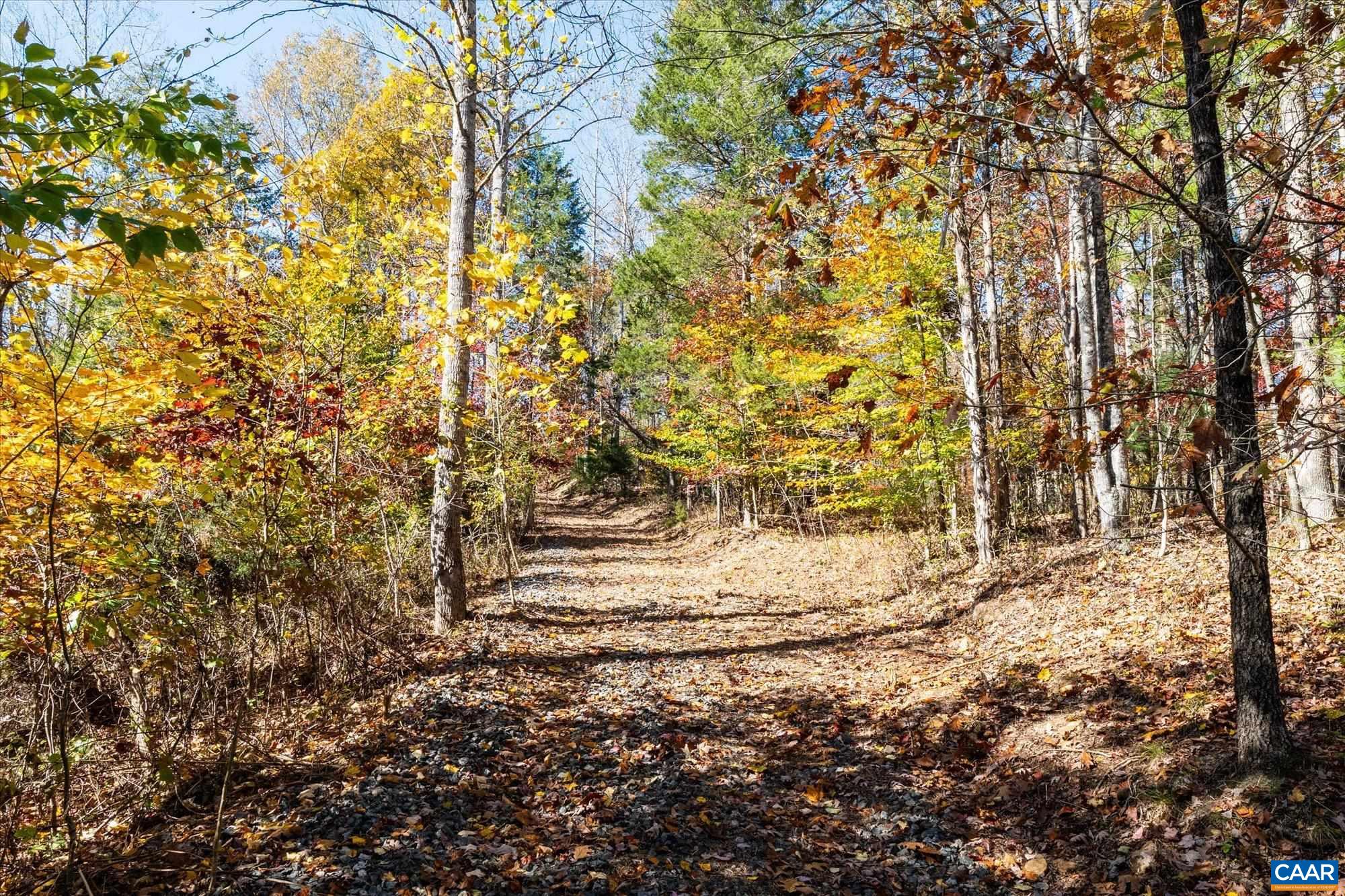 6424 Free Union Road Free Union, VA 22940 - Photo 24 of 57 a view of a yard with large trees