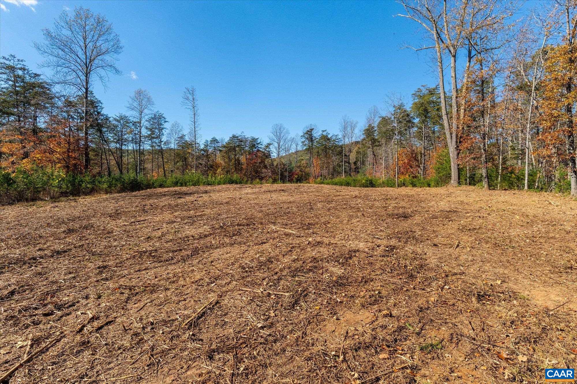 6424 Free Union Road Free Union, VA 22940 - Photo 25 of 57 a view of dirt with large trees
