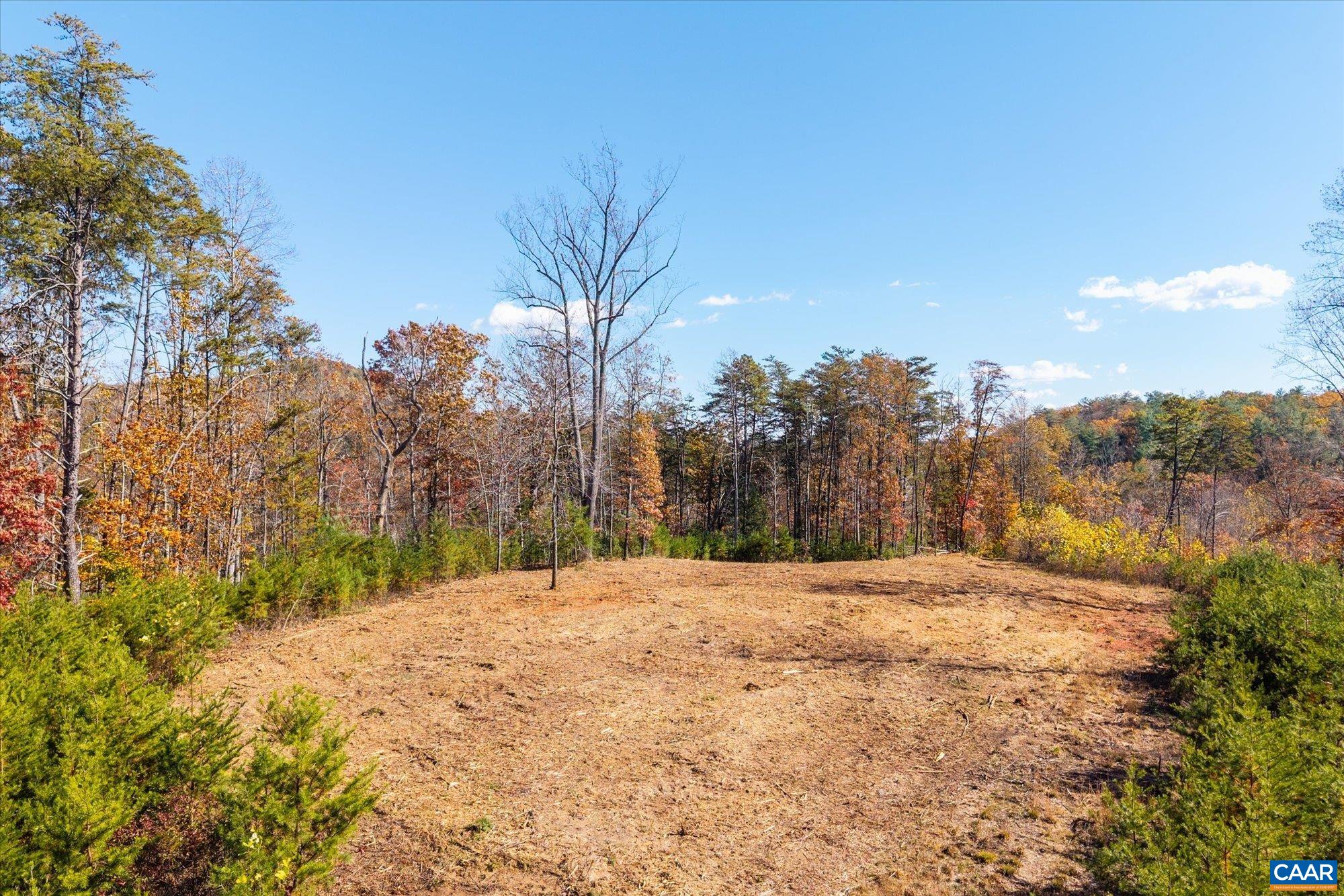 6424 Free Union Road Free Union, VA 22940 - Photo 27 of 57 a view of a backyard of the house
