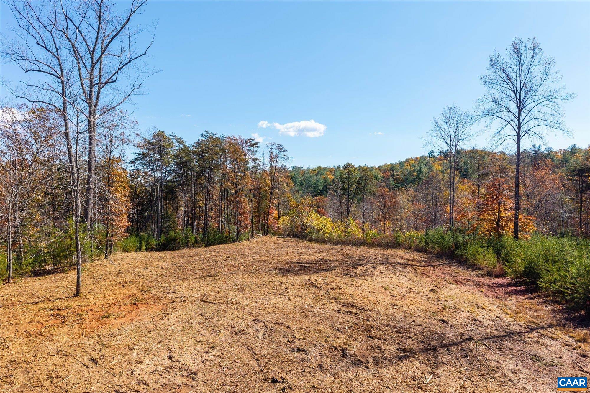 6424 Free Union Road Free Union, VA 22940 - Photo 29 of 57 a backyard of a house with lots of green space