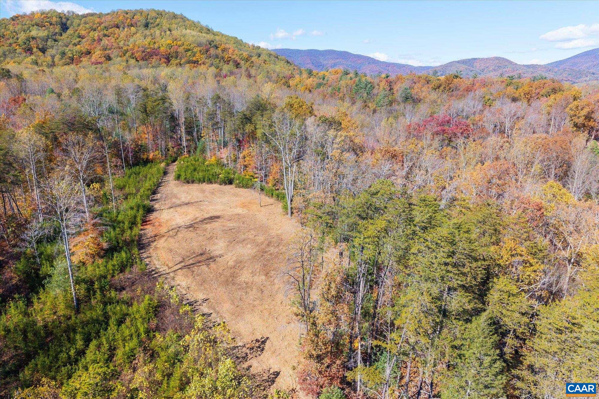 6424 Free Union Road Free Union, VA 22940 - Photo 32 of 57 a view of a dry yard with mountains in the background