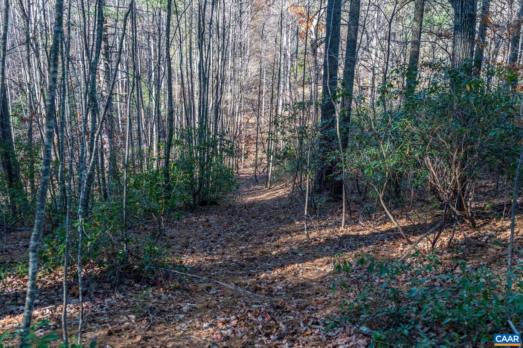 6424 Free Union Road Free Union, VA 22940 - Photo 41 of 57 a view of outdoor space and garden