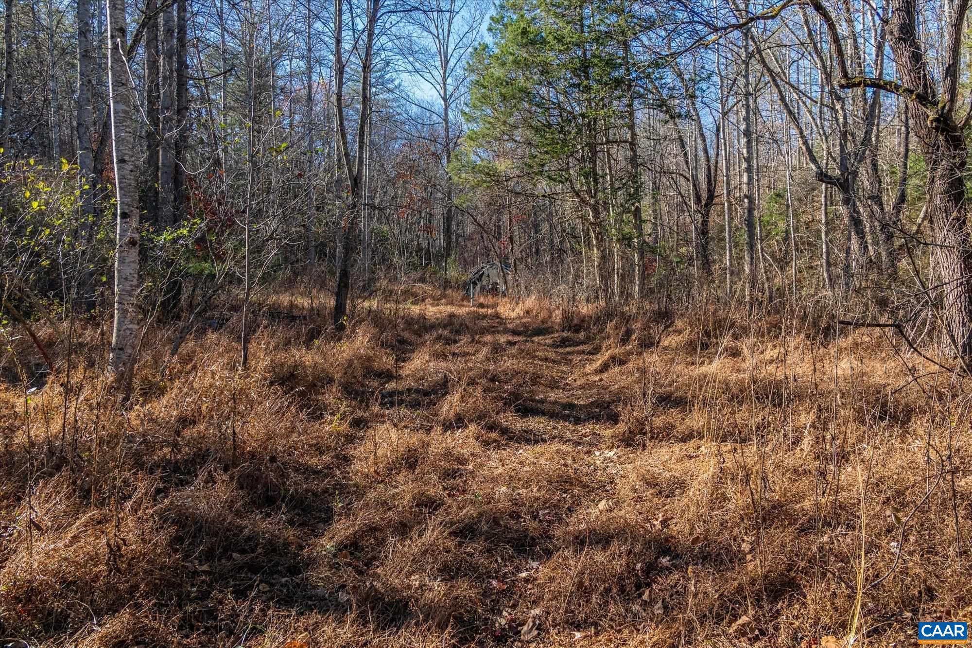 6424 Free Union Road Free Union, VA 22940 - Photo 43 of 57