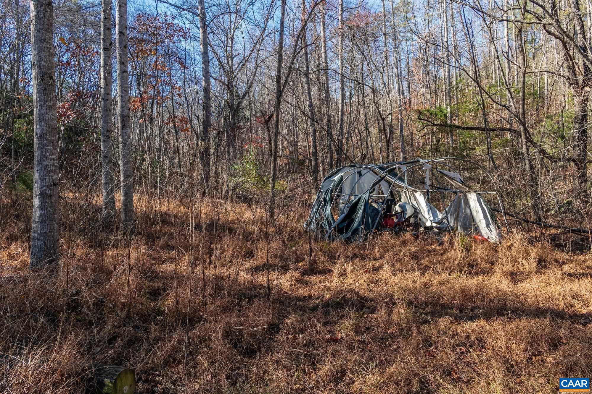 6424 Free Union Road Free Union, VA 22940 - Photo 44 of 57 a view of forest