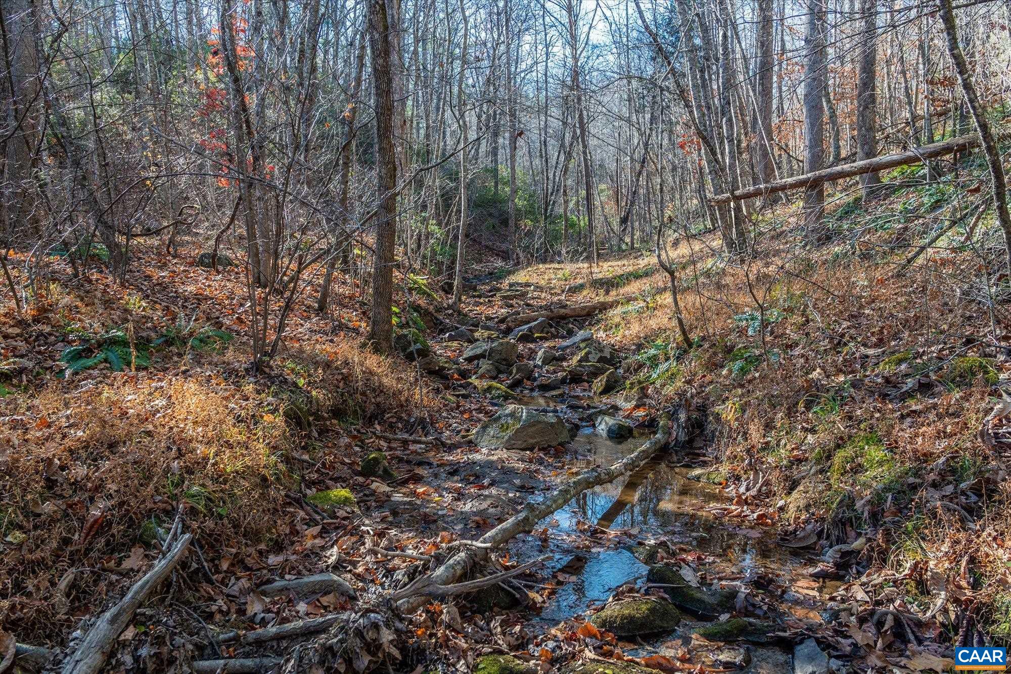 6424 Free Union Road Free Union, VA 22940 - Photo 45 of 57 a view of a yard with a tree