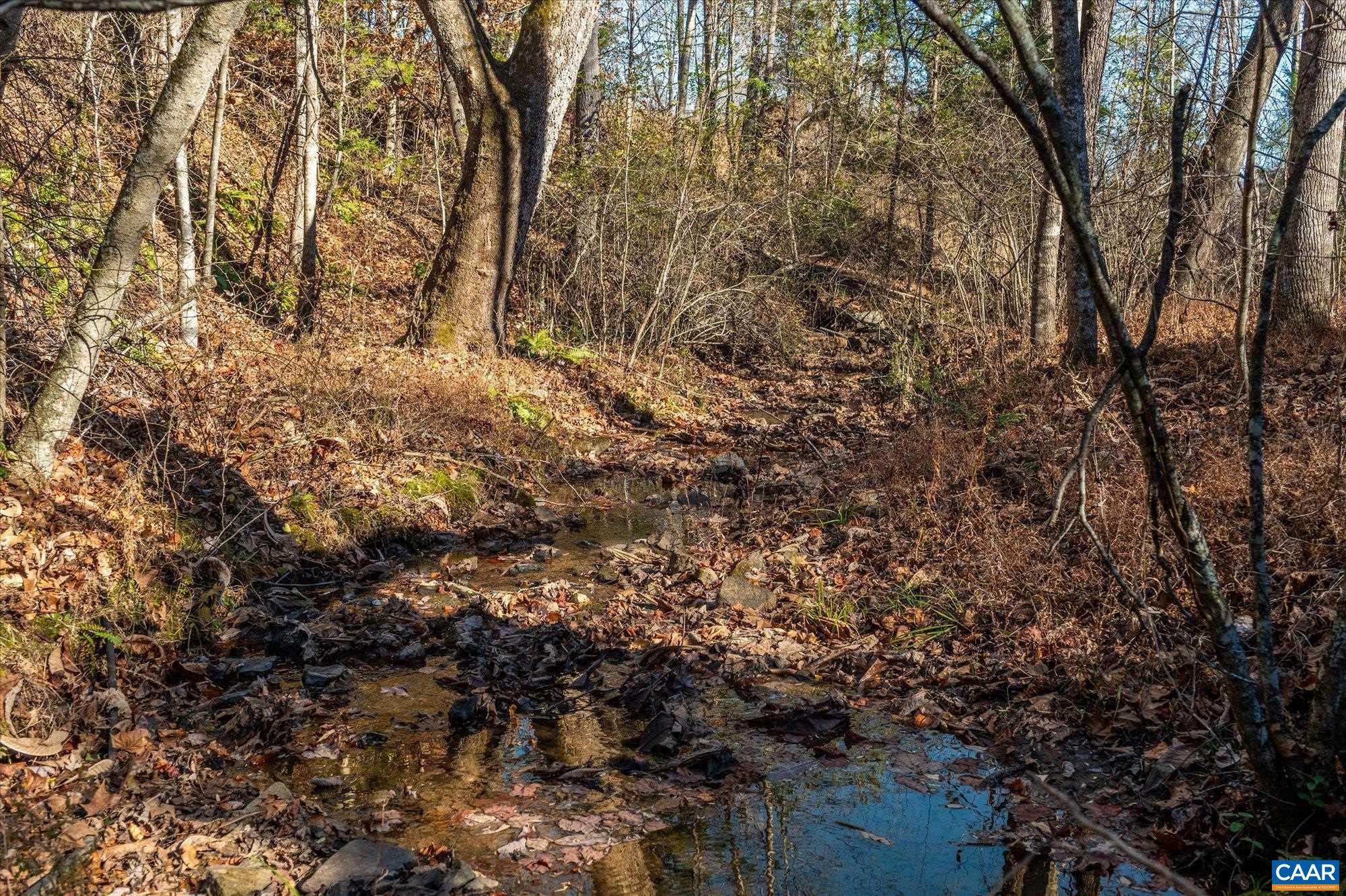 6424 Free Union Road Free Union, VA 22940 - Photo 46 of 57 a view of tree
