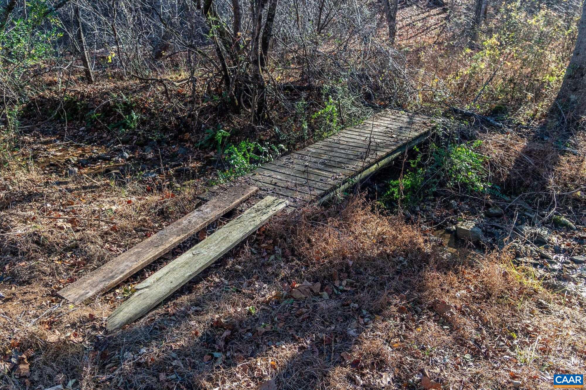 6424 Free Union Road Free Union, VA 22940 - Photo 47 of 57 a view of a backyard with plants and trees