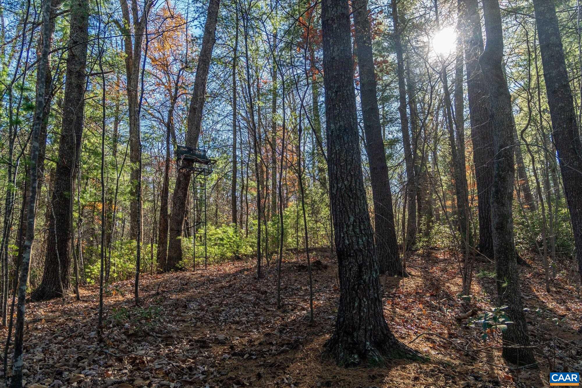 6424 Free Union Road Free Union, VA 22940 - Photo 48 of 57 a view of outdoor space and green space