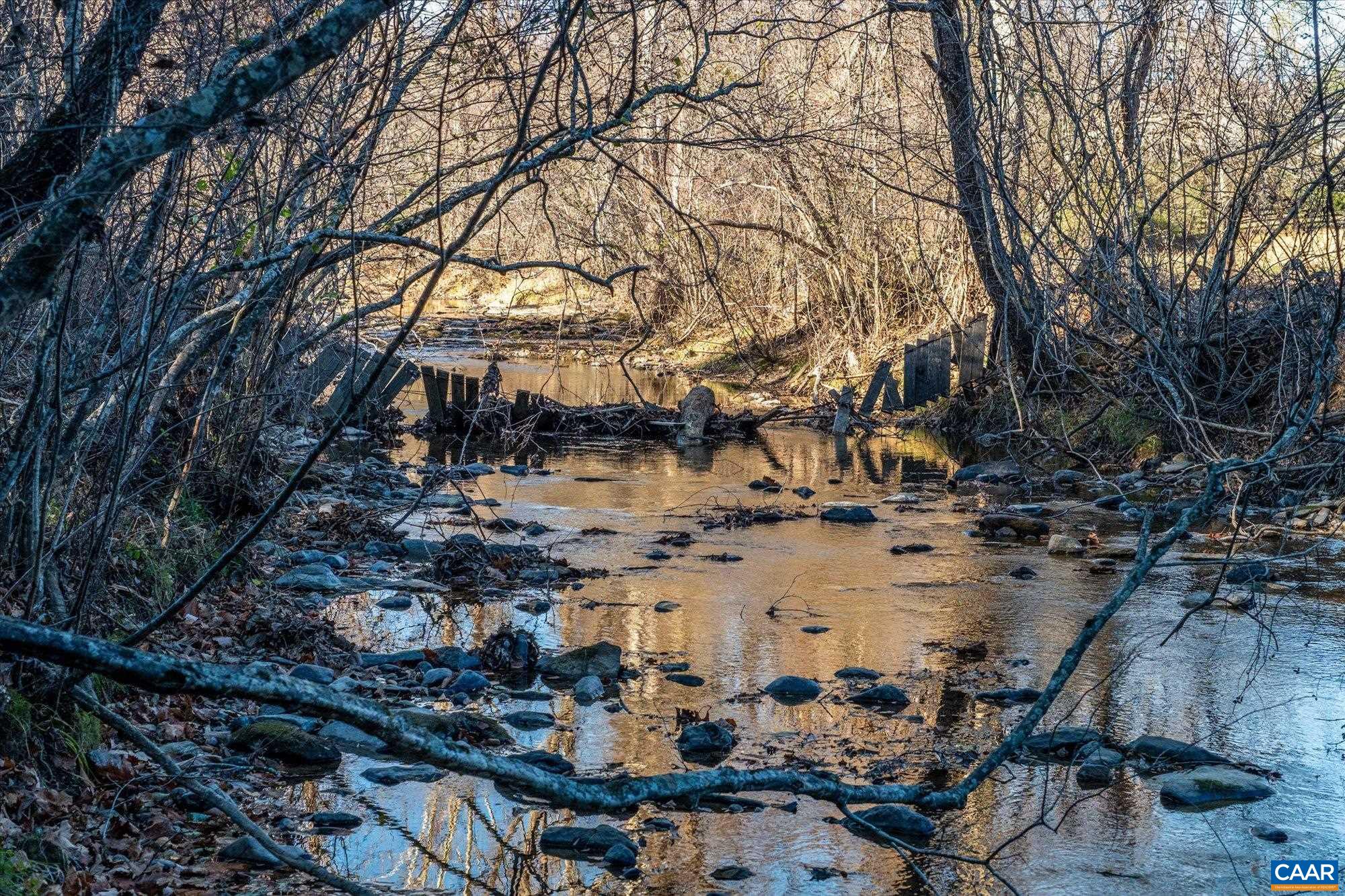 6424 Free Union Road Free Union, VA 22940 - Photo 49 of 57 a view of outdoor space with lots of trees