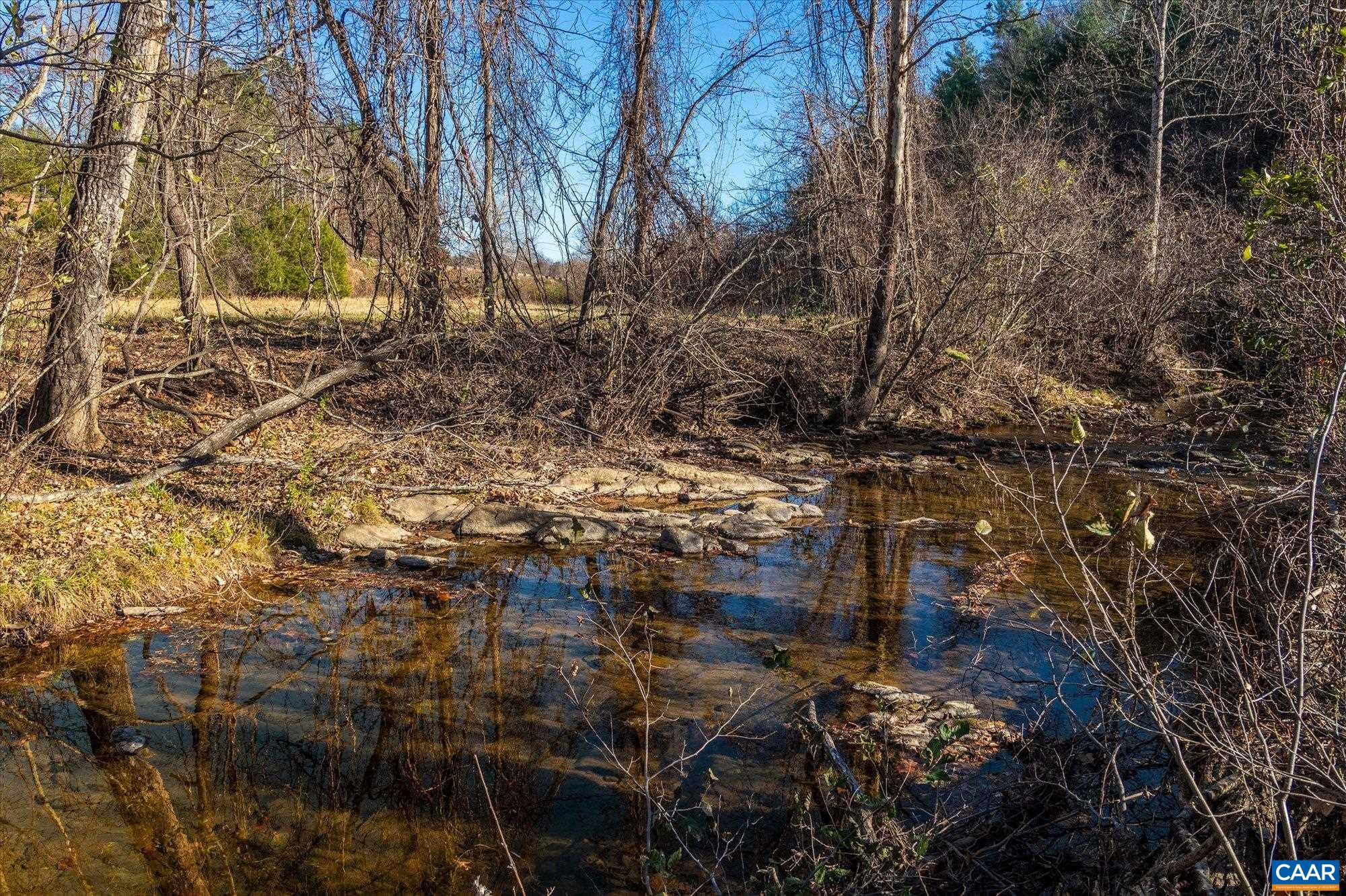 6424 Free Union Road Free Union, VA 22940 - Photo 50 of 57 a view of outdoor space