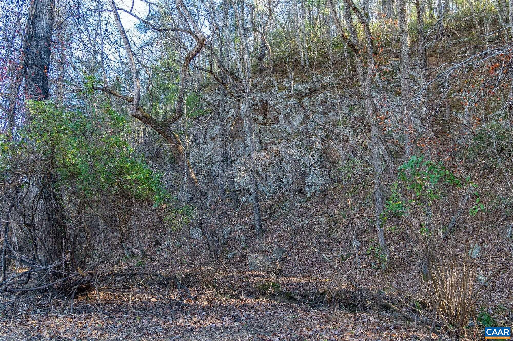 6424 Free Union Road Free Union, VA 22940 - Photo 51 of 57