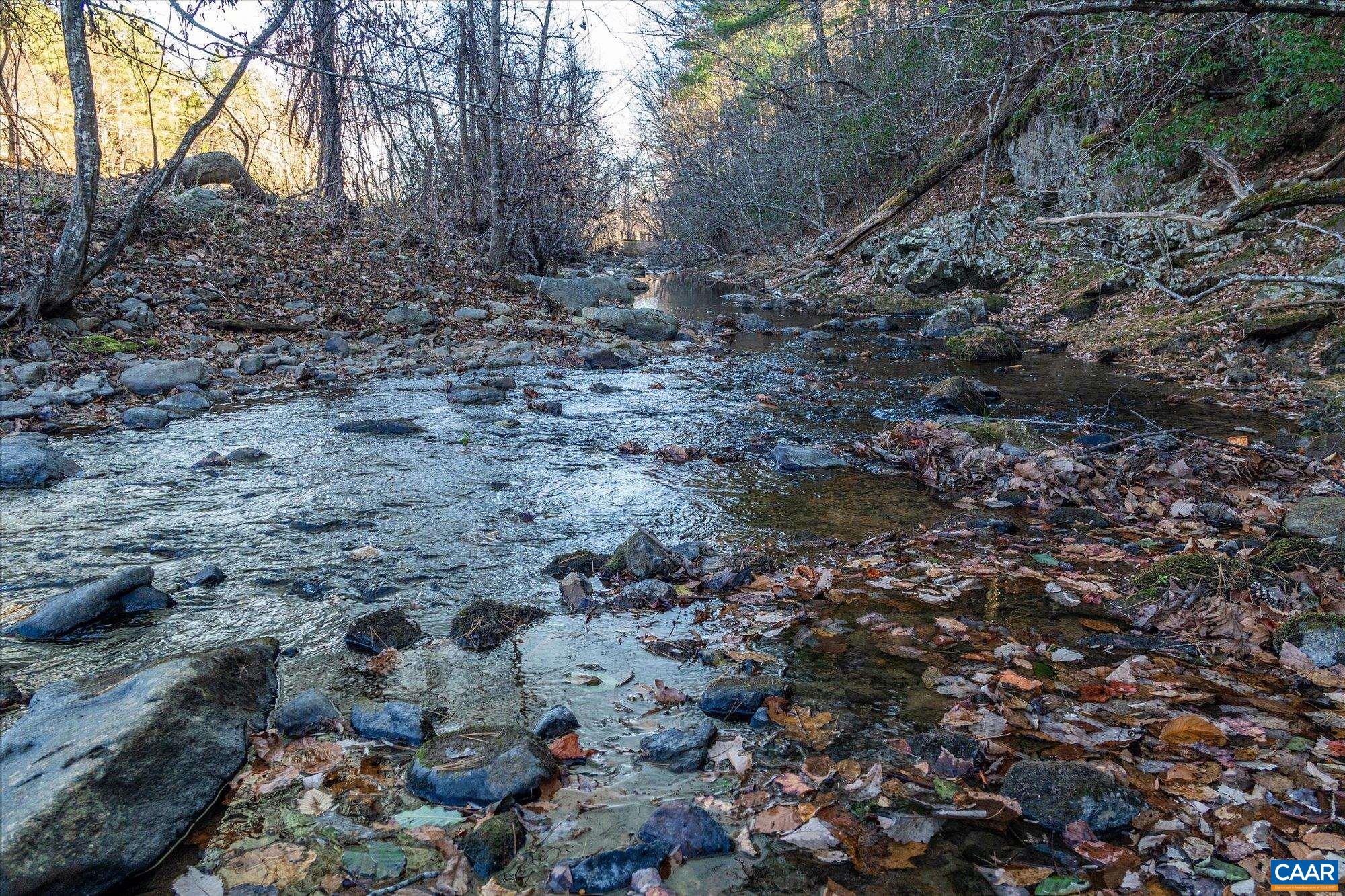 6424 Free Union Road Free Union, VA 22940 - Photo 54 of 57 a view of a dry yard with trees