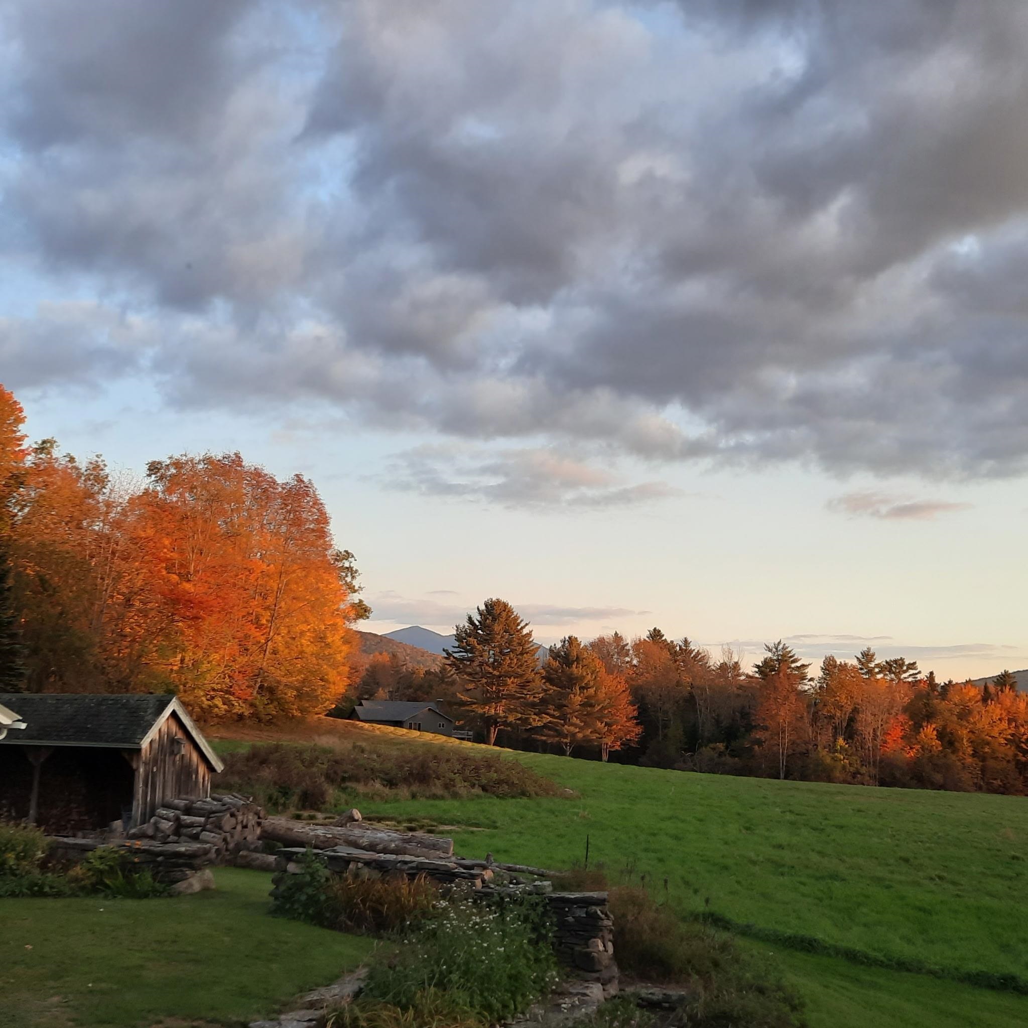 321 Center District Road Sugar Hill, NH 03586 - Photo 57 of 59