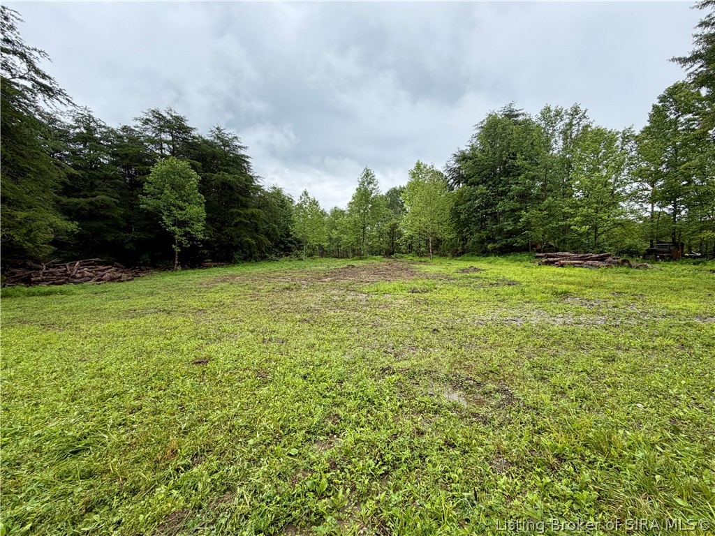 Pfister Road Otisco, IN 47163 - Photo 5 of 50