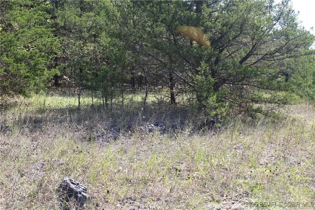 $10,000 | 121-122 Apache Lane, Rocky Mount, MO 65072