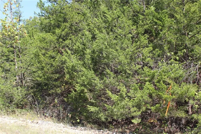 $10,000 | 121-122 Apache Lane, Rocky Mount, MO 65072