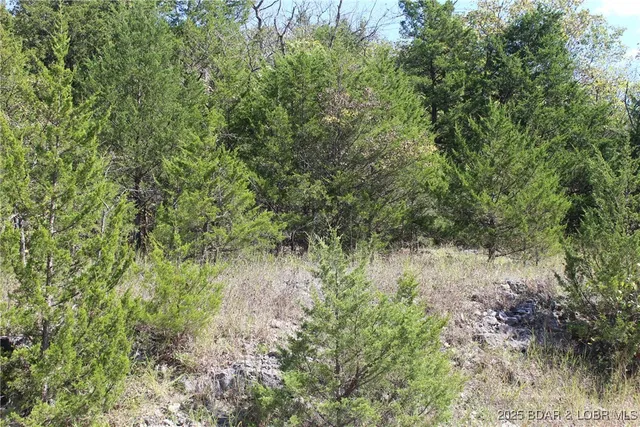 $10,000 | 121-122 Apache Lane, Rocky Mount, MO 65072