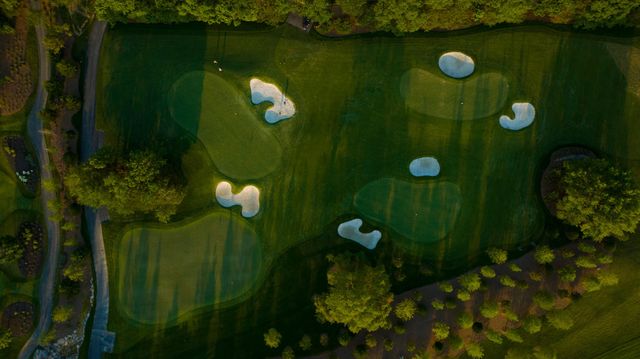 $4,599,900 | 7373 Harlow Drive, College Grove, TN 37046