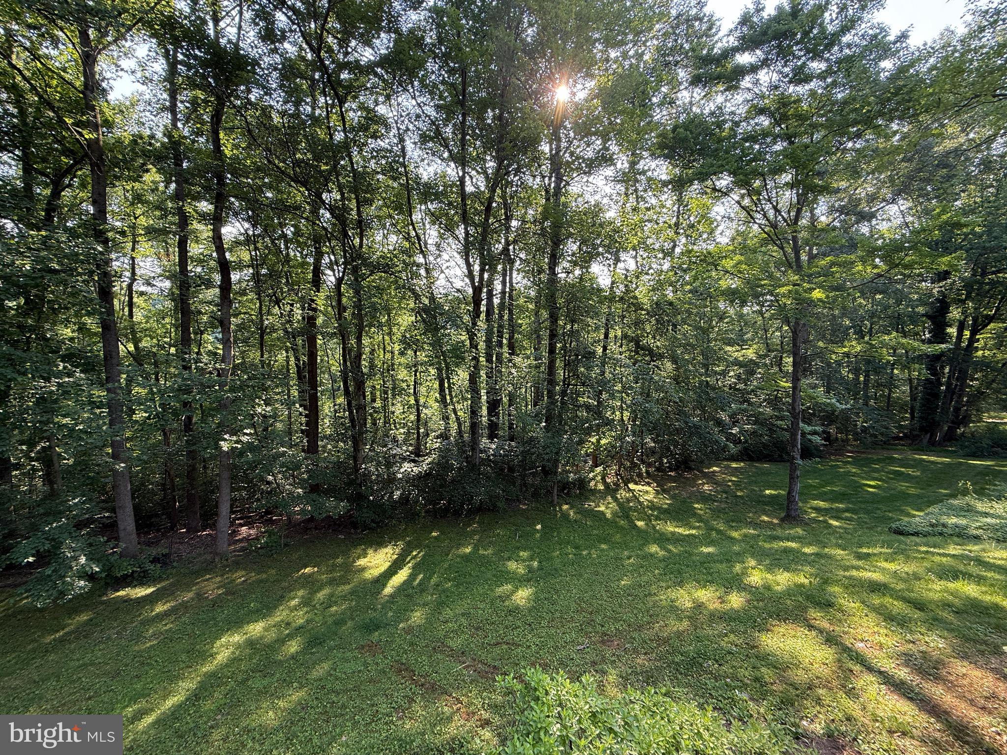 7937 St George Court Springfield, VA 22153 - Photo 38 of 47