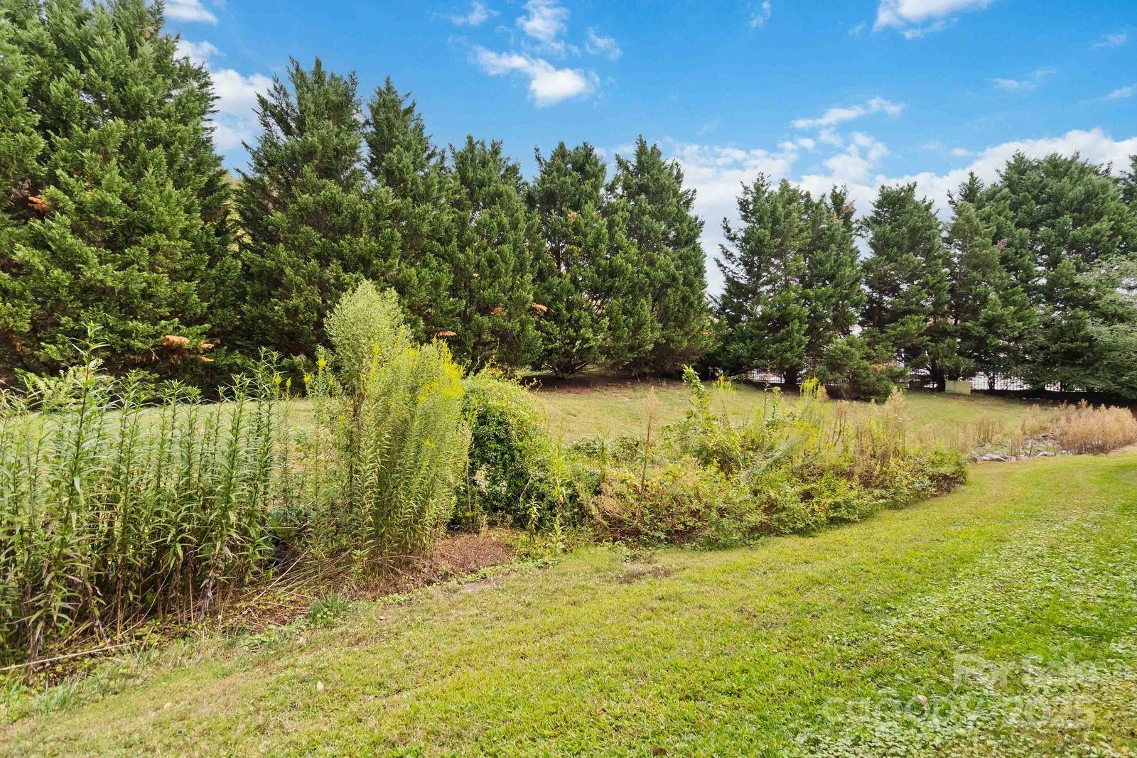 11001 Running Ridge Rd. Charlotte, NC 28226 - Photo 34 of 38