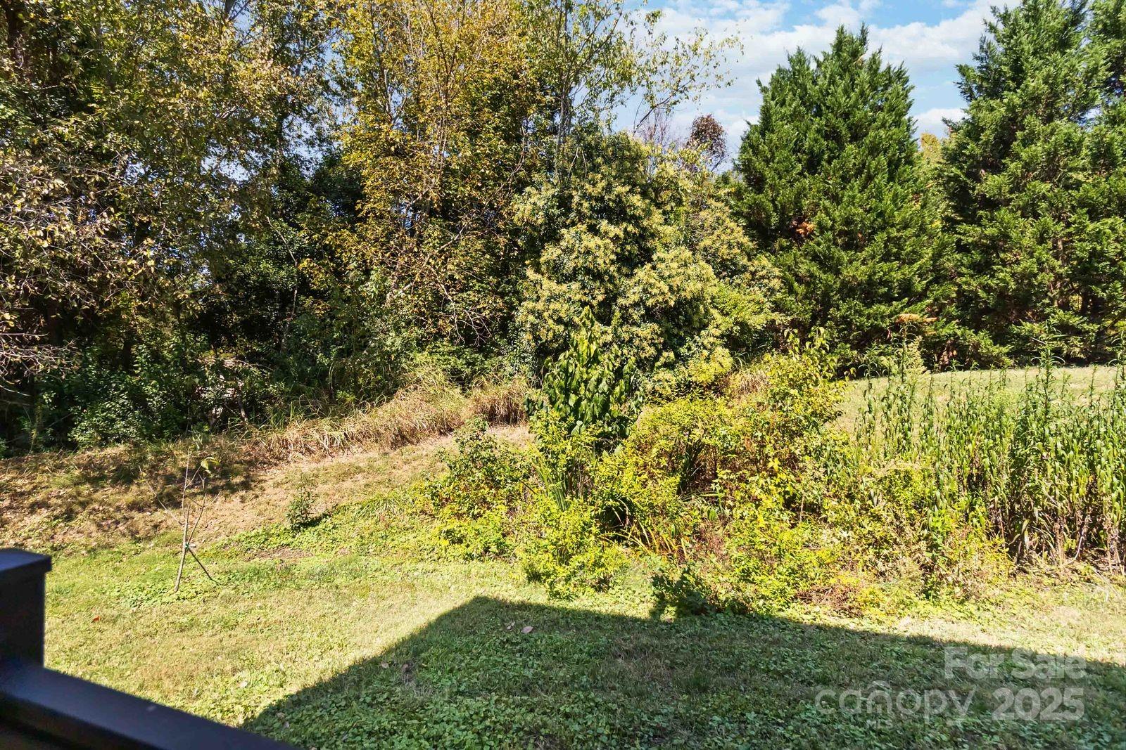 11001 Running Ridge Rd. Charlotte, NC 28226 - Photo 37 of 38 a view of a yard with large trees
