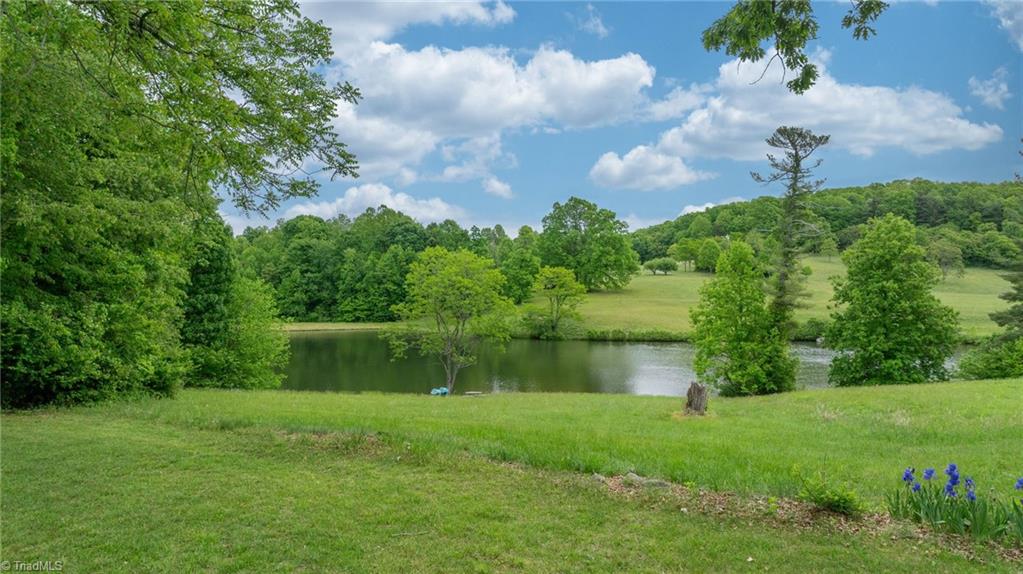 475 Hendren Road Moravian Falls, NC 28654 - Photo 7 of 20