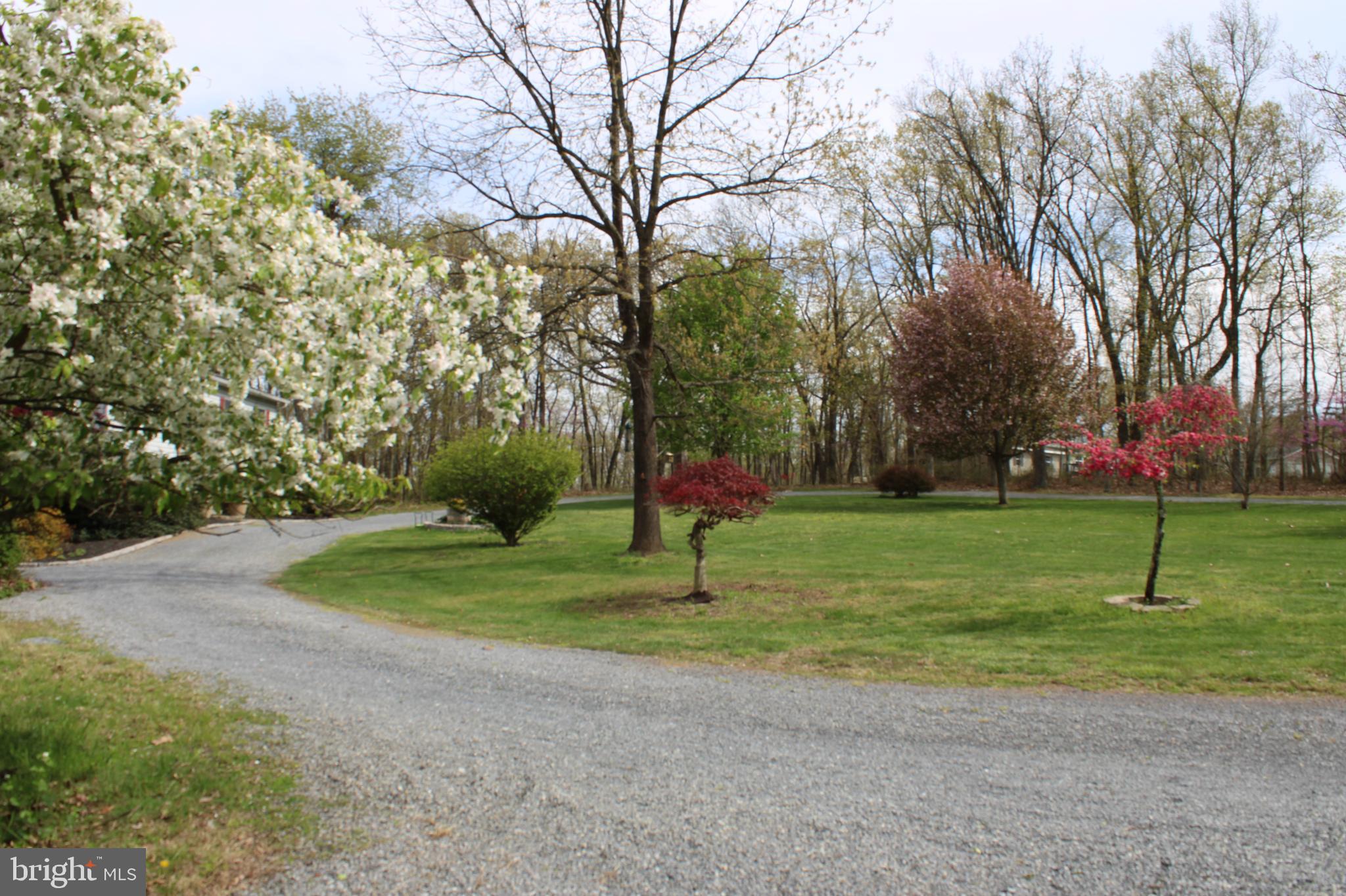 190 Timber Ridge Road Gore, VA 22637 - Photo 4 of 72 Cirular driveway