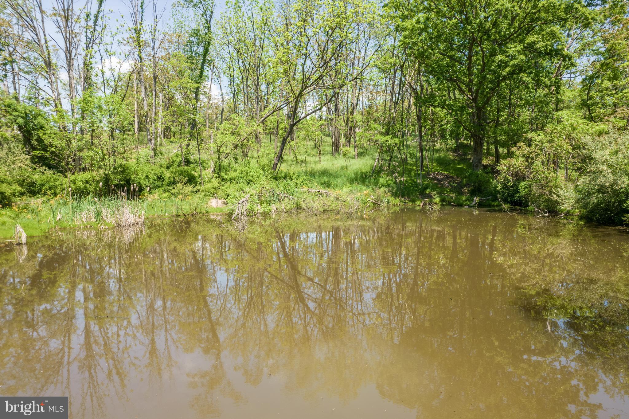190 Timber Ridge Road Gore, VA 22637 - Photo 60 of 72