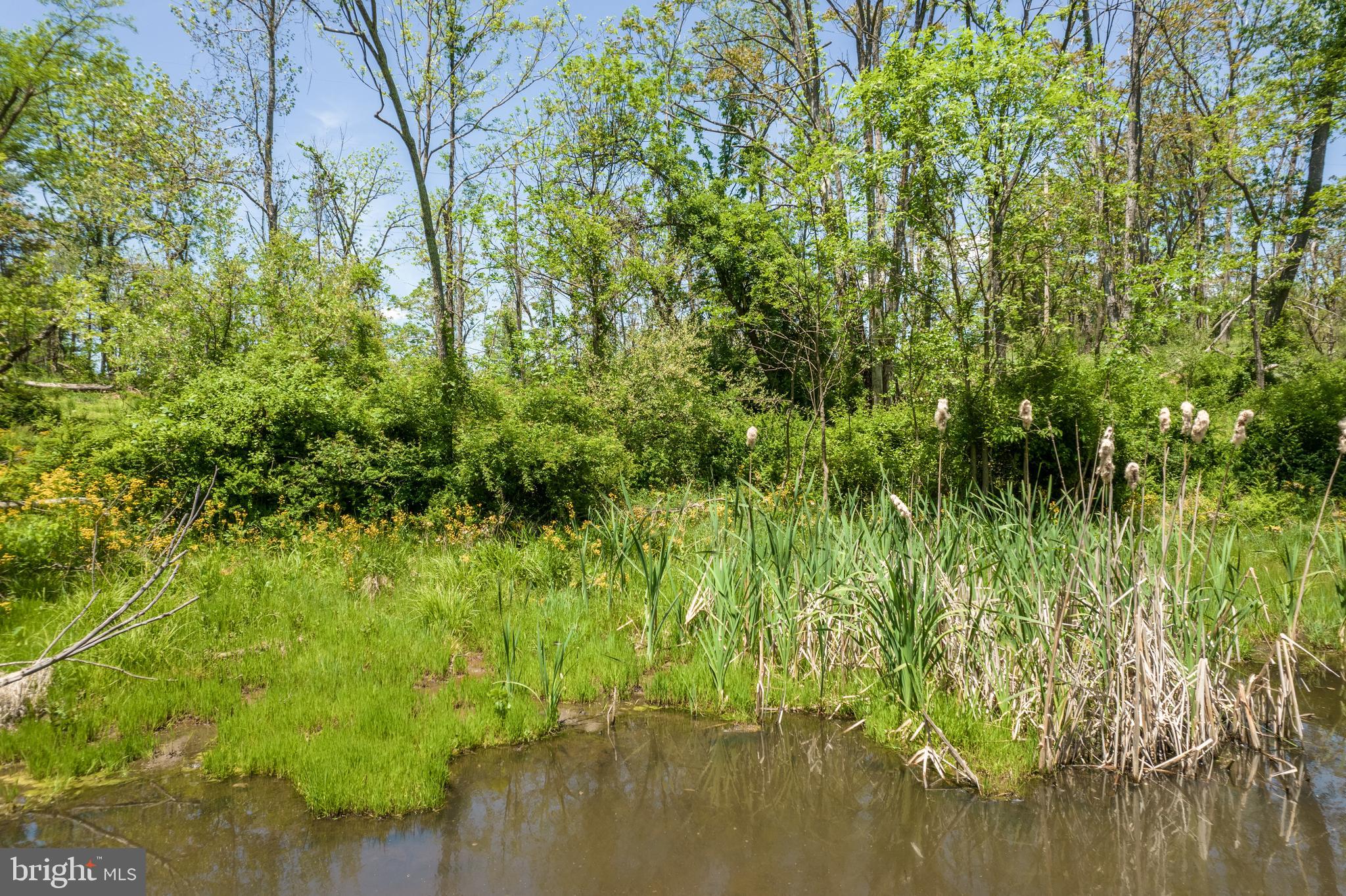 190 Timber Ridge Road Gore, VA 22637 - Photo 62 of 72