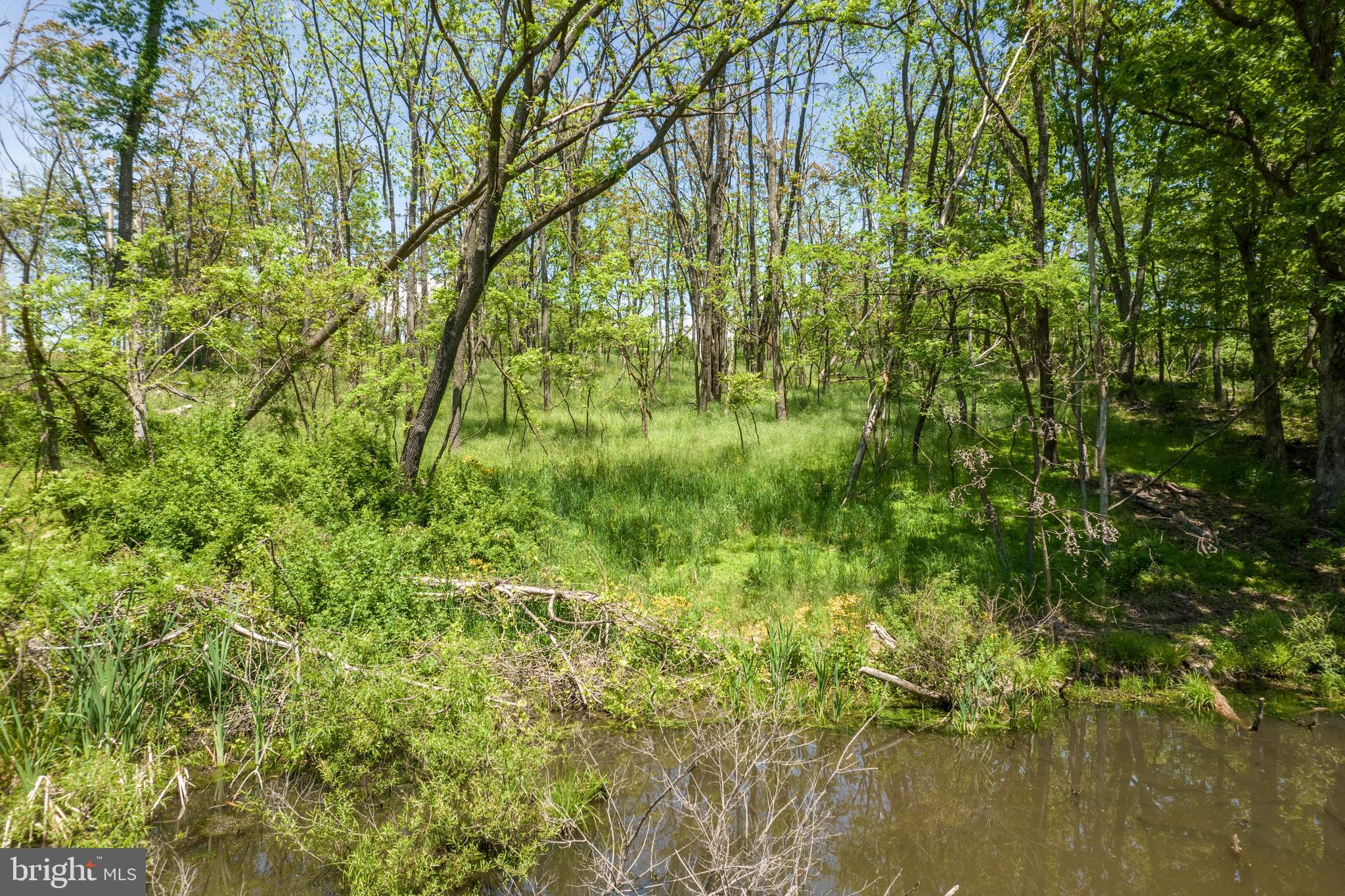 190 Timber Ridge Road Gore, VA 22637 - Photo 63 of 72