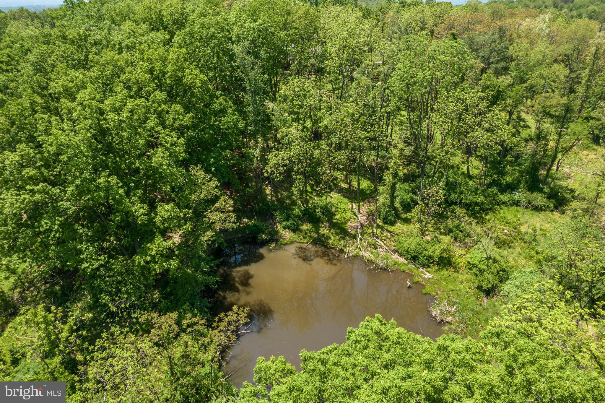 190 Timber Ridge Road Gore, VA 22637 - Photo 64 of 72