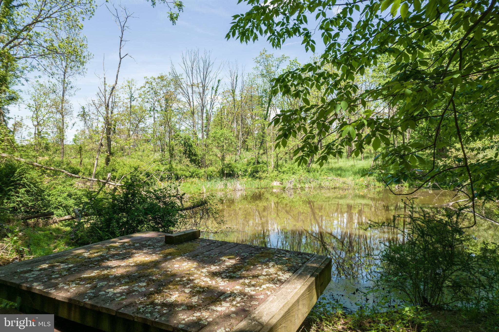 190 Timber Ridge Road Gore, VA 22637 - Photo 66 of 72