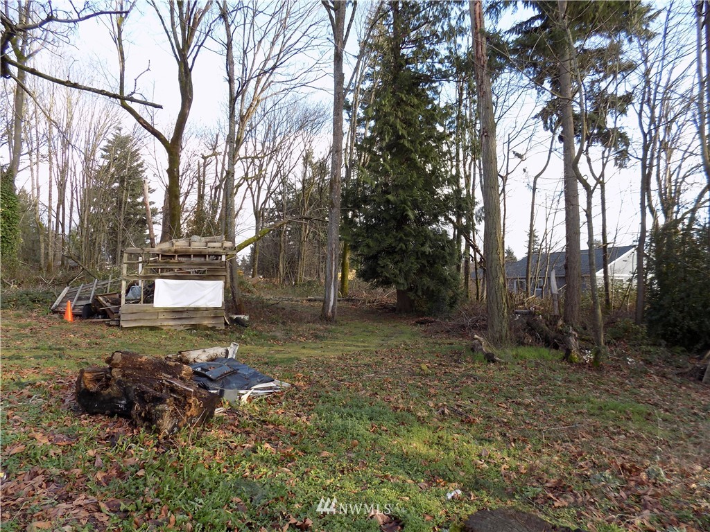 22119 Military Road South SeaTac, WA 98198 - Photo 5 of 8