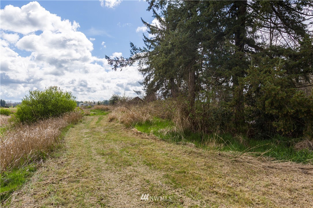 8272 Kickerville Road Custer, WA 98240 - Photo 20 of 21