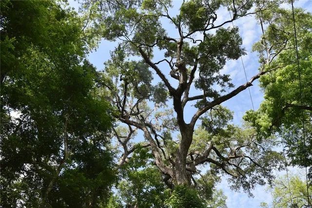 a view of outdoor space and yard