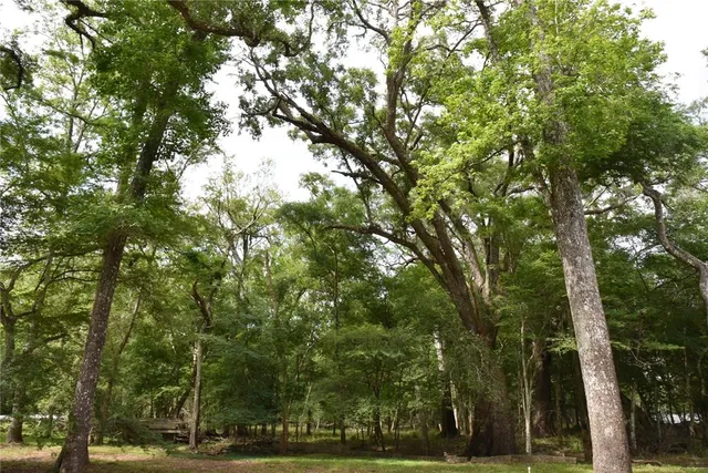 a backyard of a house with lots of green space