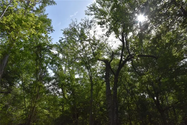 a house with trees in the background