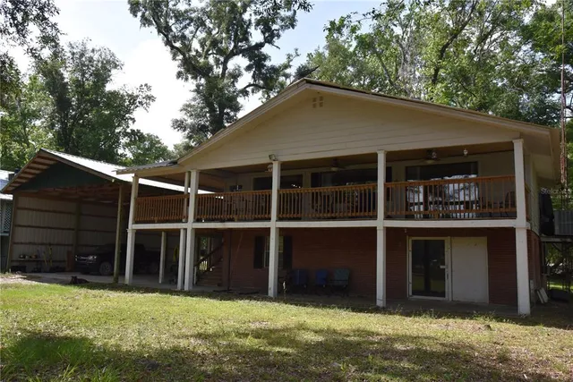 a view of a lush green space