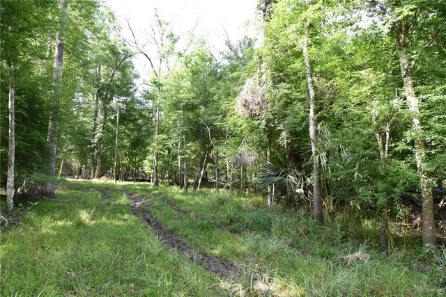 $949,000 | 3019 Southeast 709th Street, Old Town, FL 32680