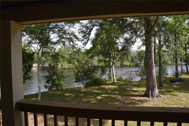 a view of a tree in a yard