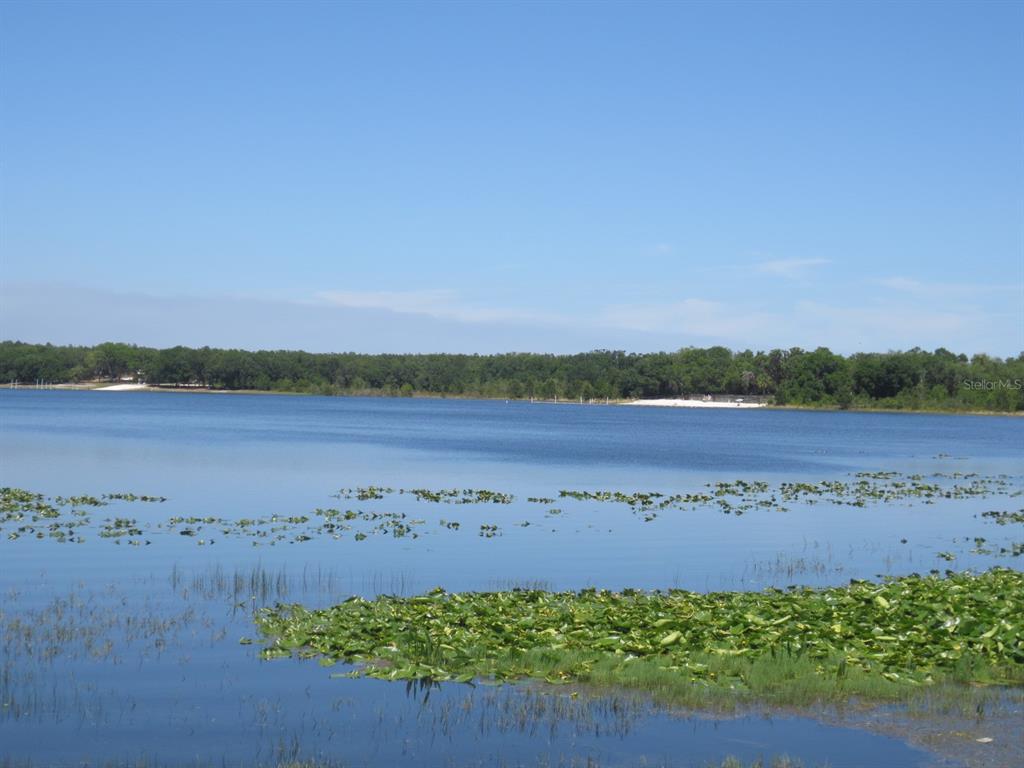 1742 Southeast 169th Terrace Road Silver Springs, FL 34488 - Photo 76 of 91 Gallery Image 76