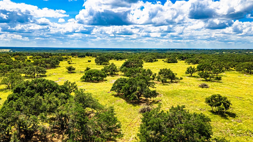 17 Blackjack Ranch Road, Unit 17 Harper, TX 78631 - Photo 4 of 9
