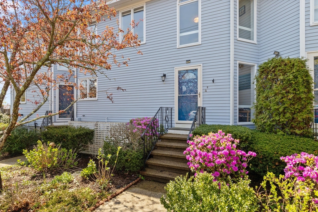 15 Flume Road, Unit 4 Gloucester, MA 01930 - Photo 2 of 41 a view of a potted plant sitting in front of a house