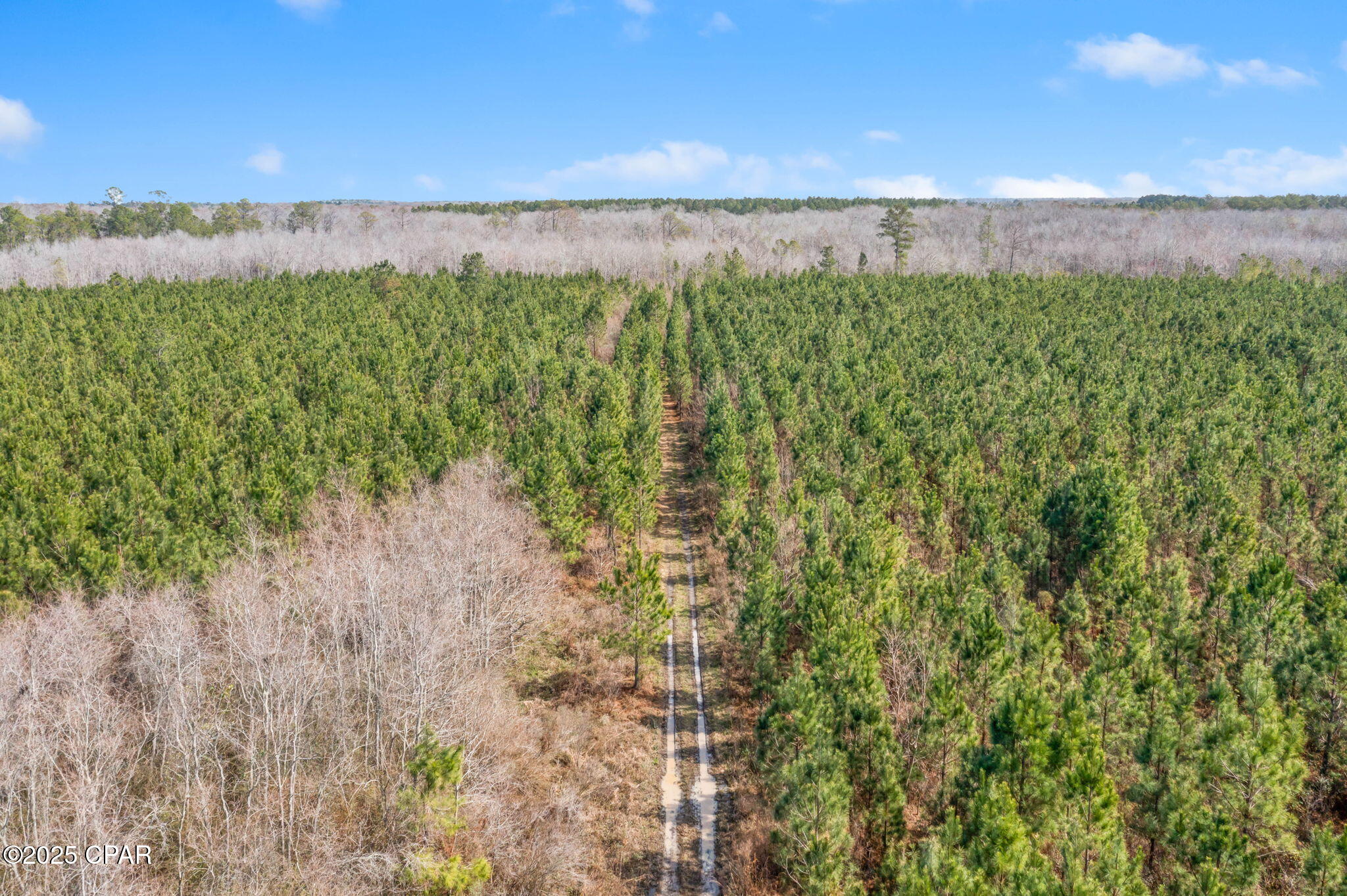 Lot 2 New Prospect Road Chipley, FL 32428 - Photo 16 of 26