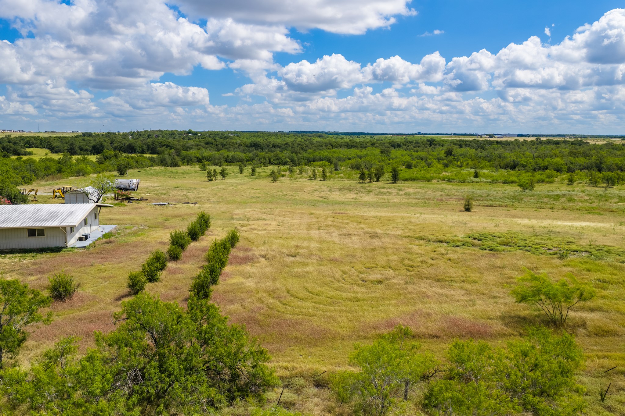 8804 Williamson Road Buda, TX 78610 - Photo 29 of 37 Acres of open pasture roll toward a horizon of mature trees under blue skies.