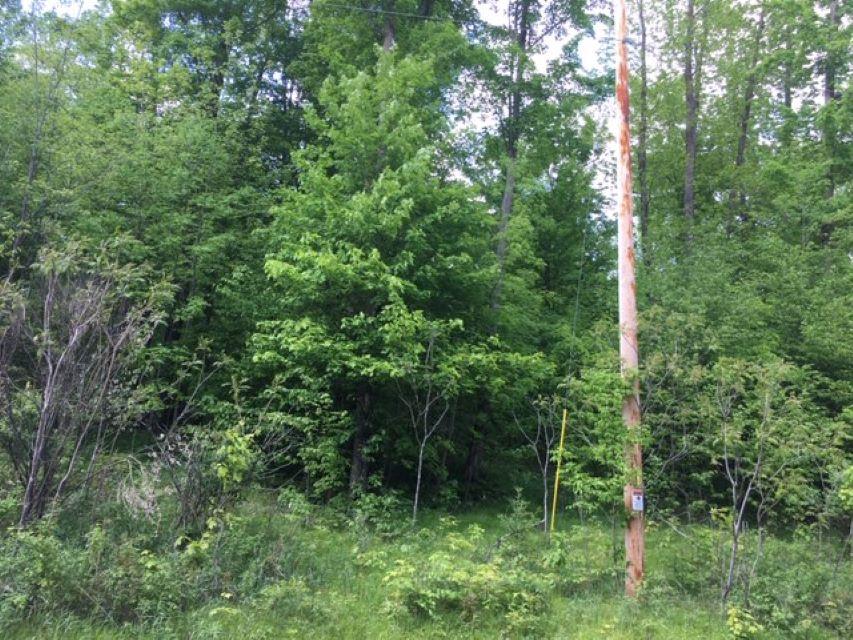 On Cv Rdg Drive, Unit LOT 3 Antigo, WI 54409 - Photo 1 of 2 Gallery Image 1