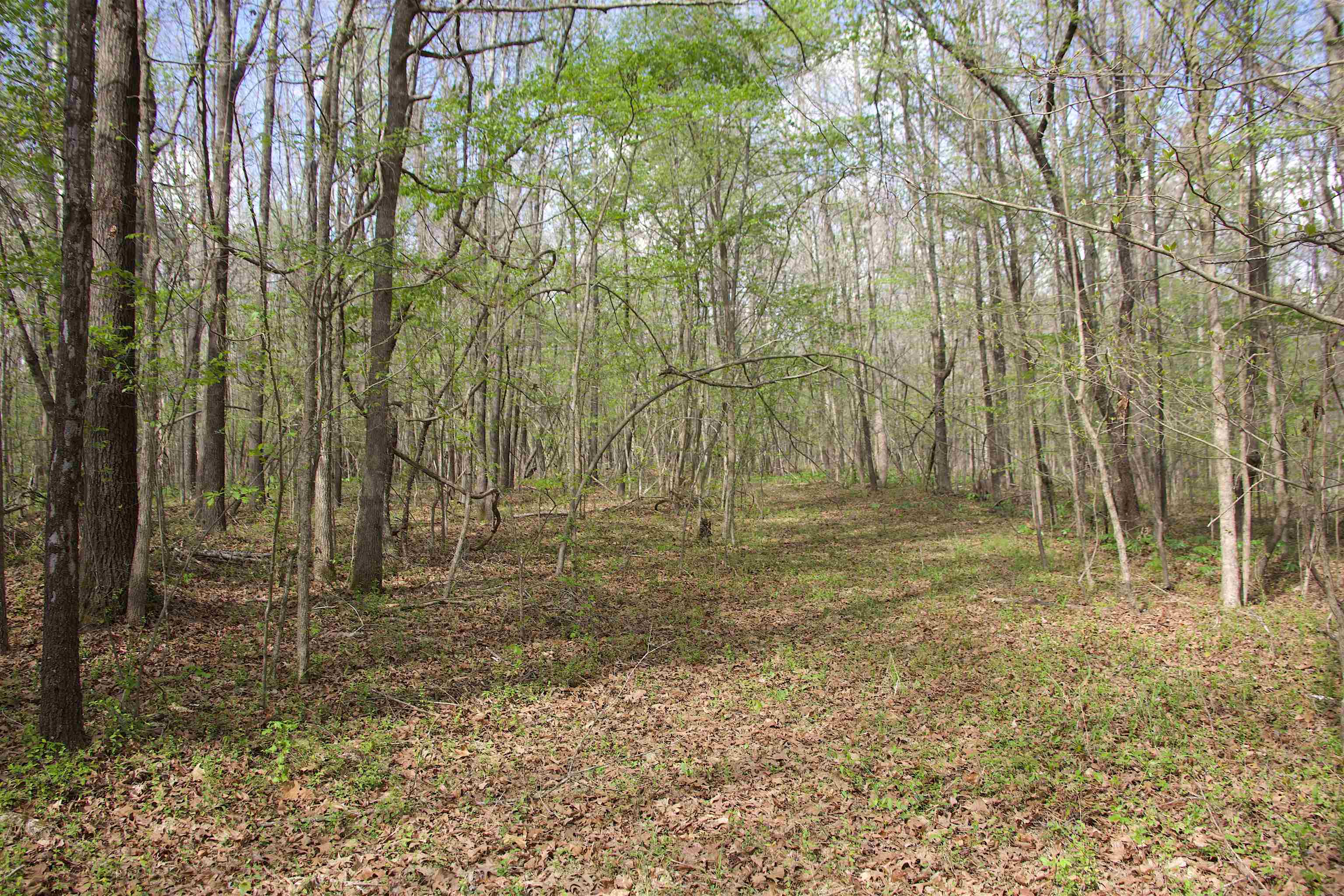 780 Breedlove Road Michigan City, MS 38647 - Photo 11 of 11